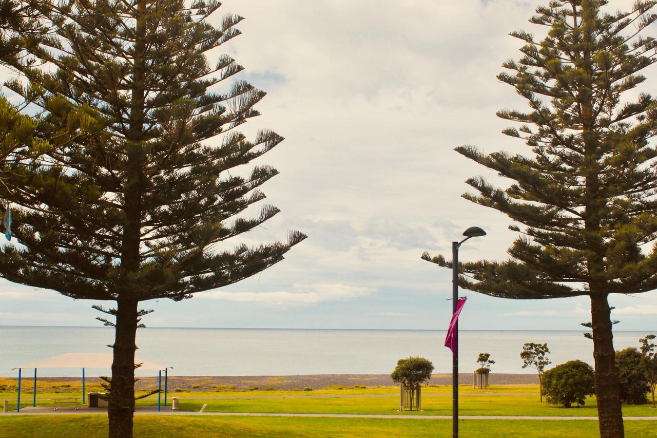 Hotel The Nautilus Napier Exterior foto View of the bay from the foreshore