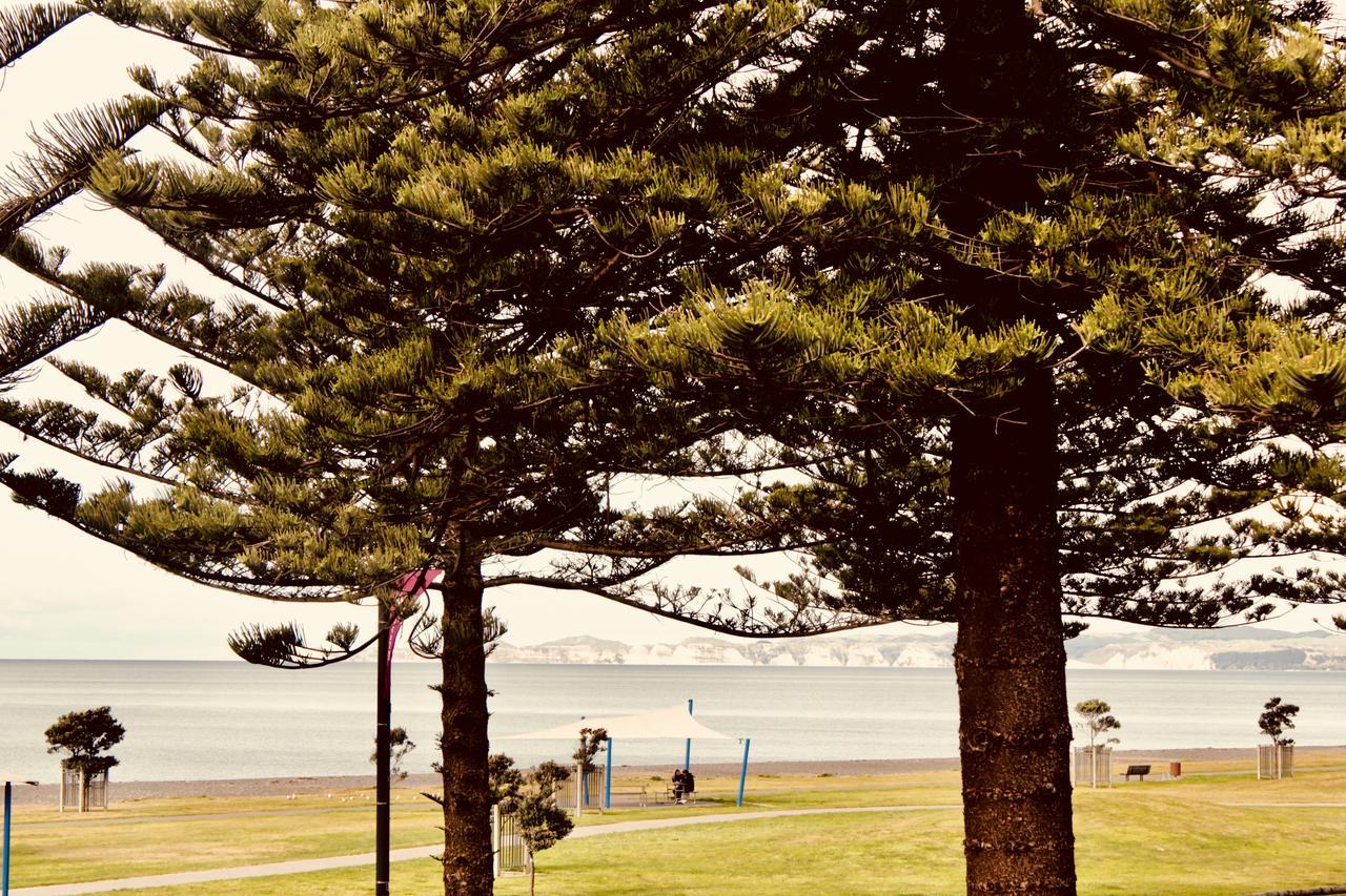 Hotel The Nautilus Napier Exterior foto View of the bay from the foreshore
